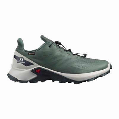 Pánské Trailové Boty Salomon SUPERCROSS BLAST GTX Zelene SA15948-615